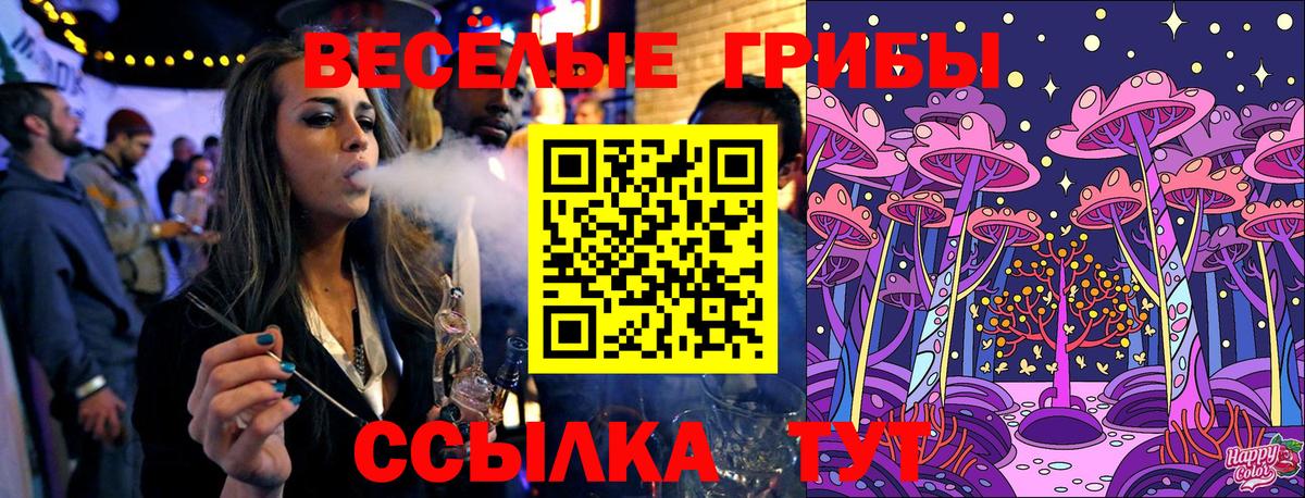 Ярославль  Псилоцибиновые грибы Psilocybe  Галлюциногенные грибы Cubensis  Вход с VPN 